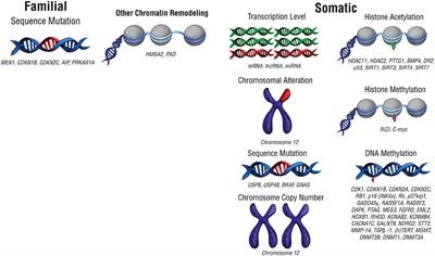 The Epigenomics of Pituitary Adenoma